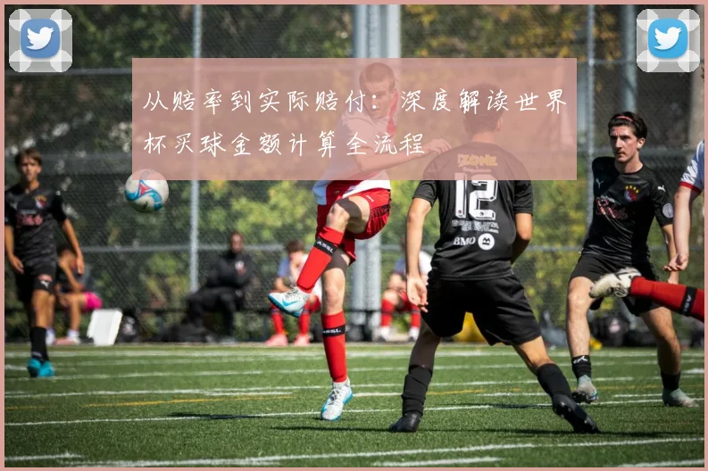 从赔率到实际赔付：深度解读世界杯买球金额计算全流程