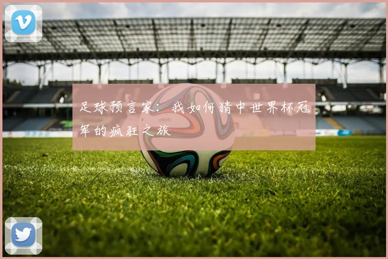 足球预言家：我如何猜中世界杯冠军的疯狂之旅